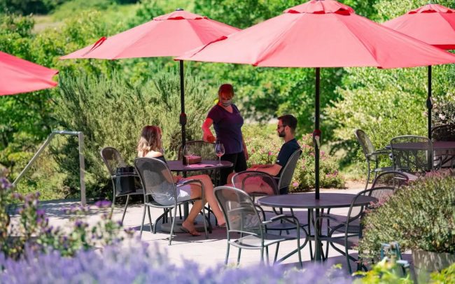Lemelson's sunny tasting room patio with vineyard views