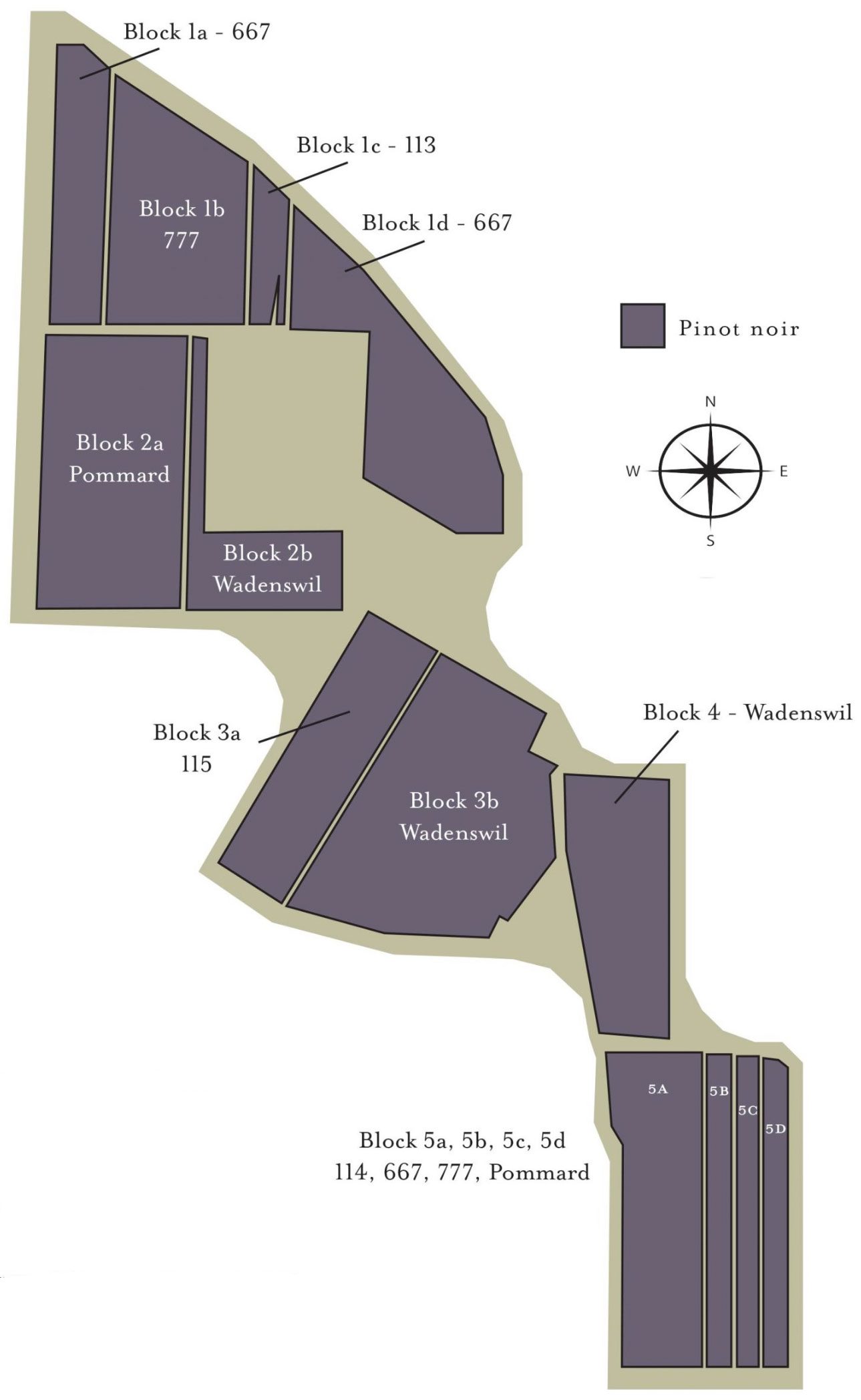 Briscoe Vineyard map